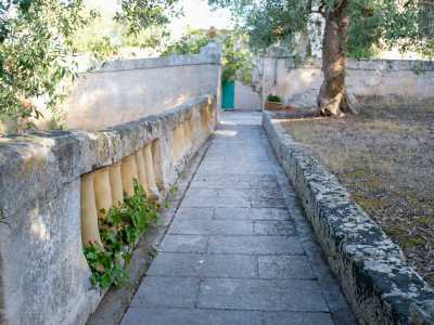 Superiamo quindi l�entrata per immergerci in una vasta area verde percorsa da un viale...